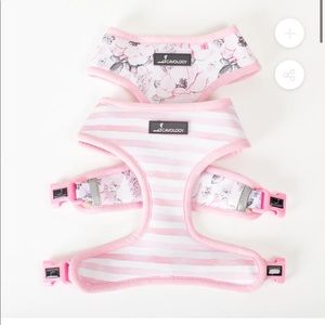 Cavology Reversible harness and leash